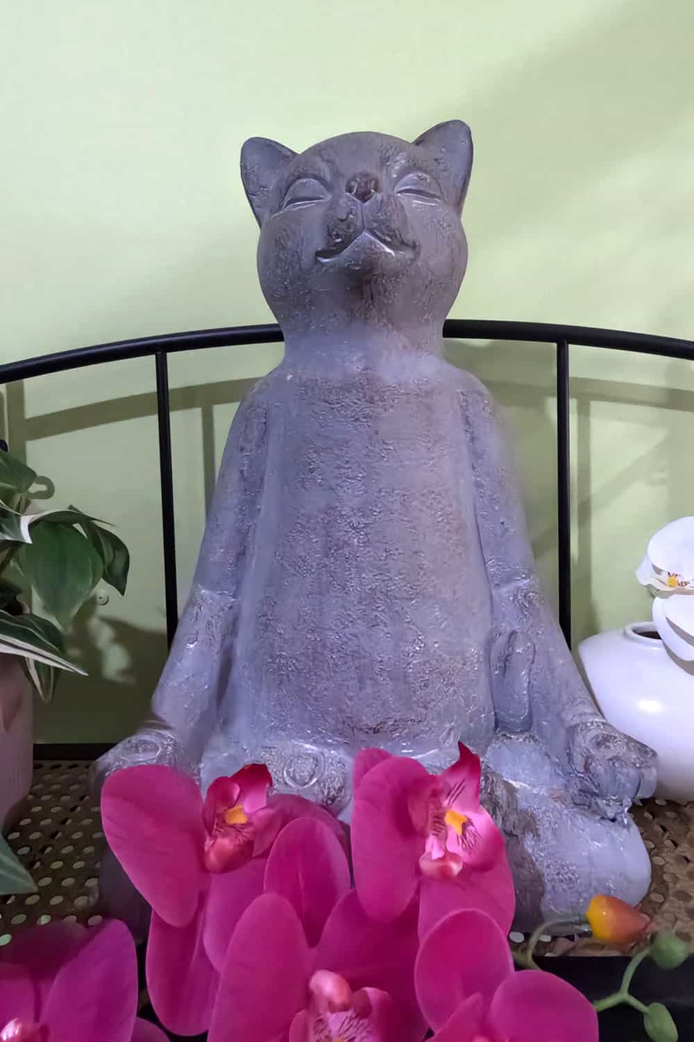 buddha-cat