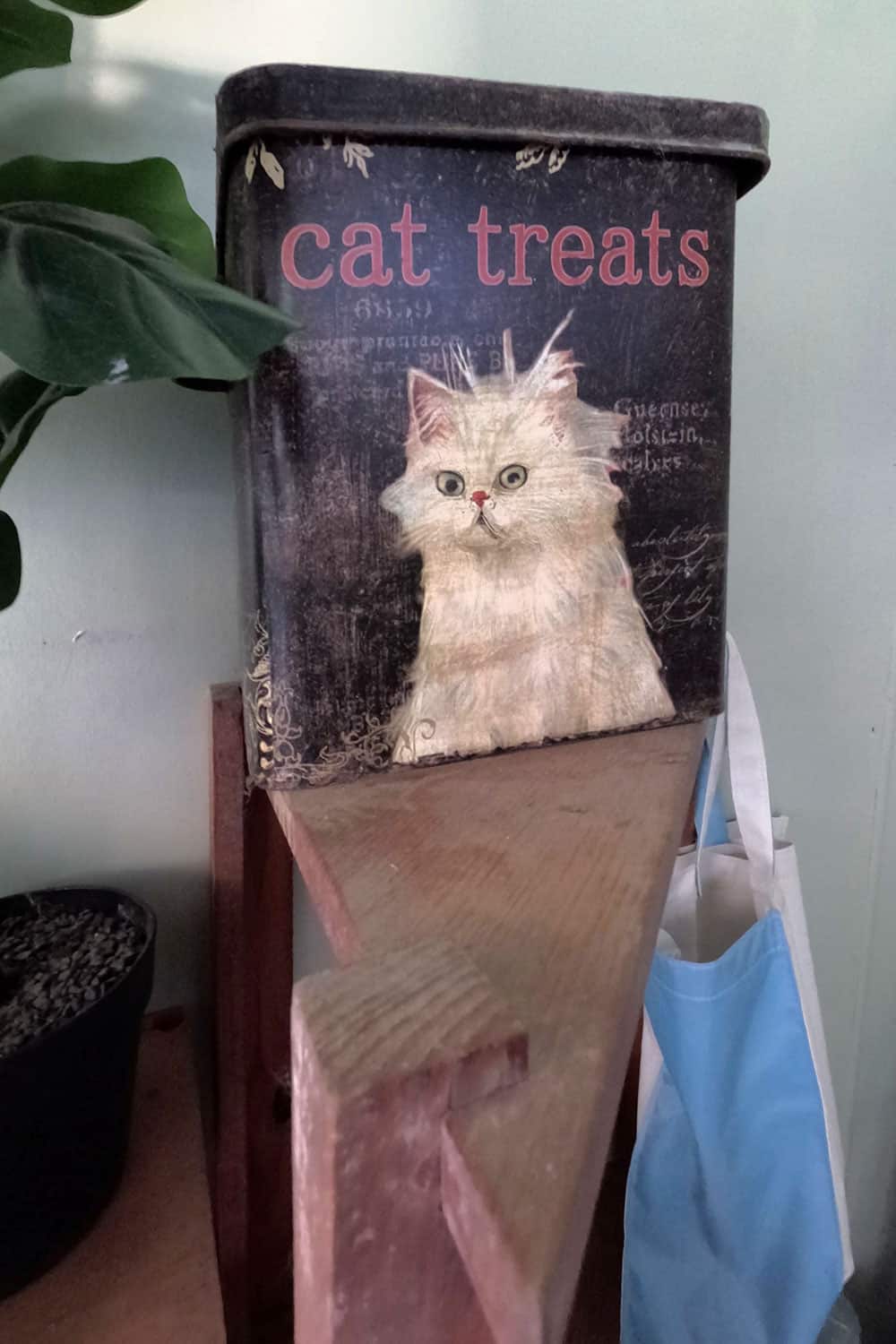 cat-treats
